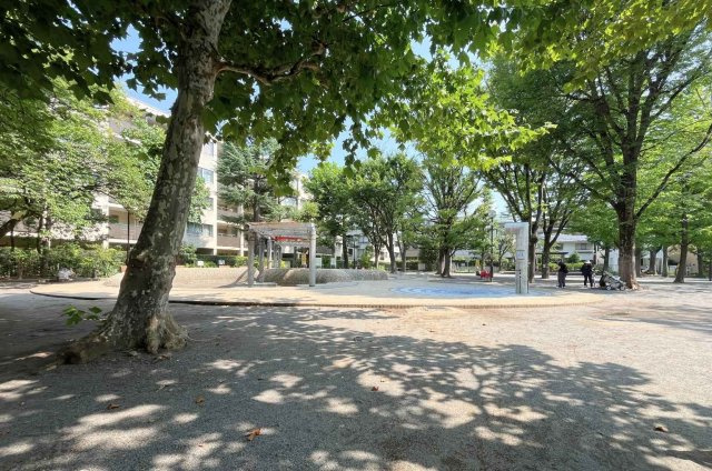 公園には、イチョウやケヤキ、サクラなどの大きな木があり、　花や紅葉で四季の移ろいを感じることができそうです。