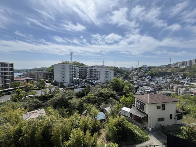 展望