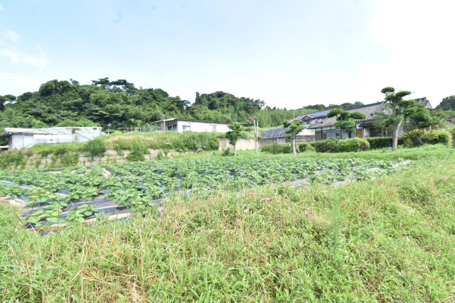 外観：346000045580