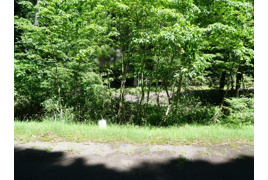 荘川ビレッジ①の外観