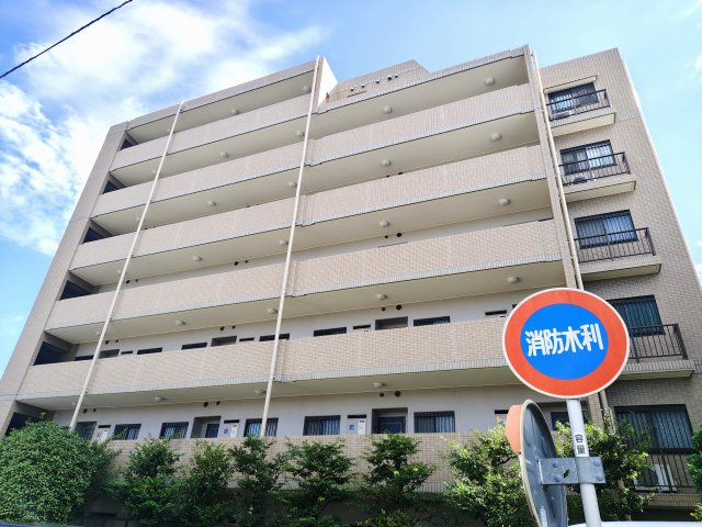 外観：313004912925