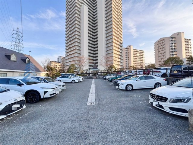 平面駐車場♪