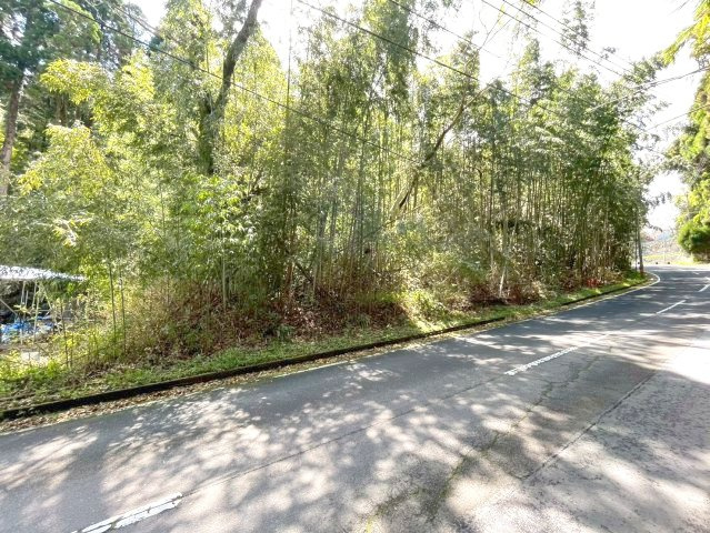 外観：346000041307