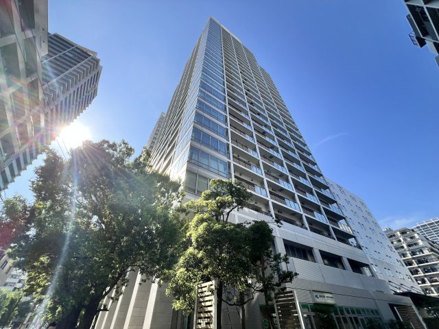 外観：313004666786