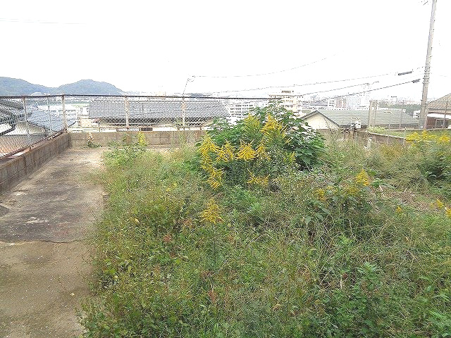 外観：340000223335