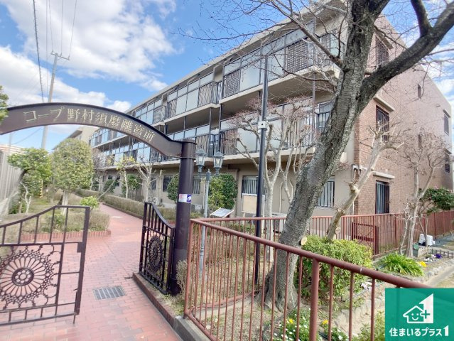 外観：328000627050