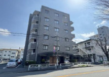 外観：313004667641