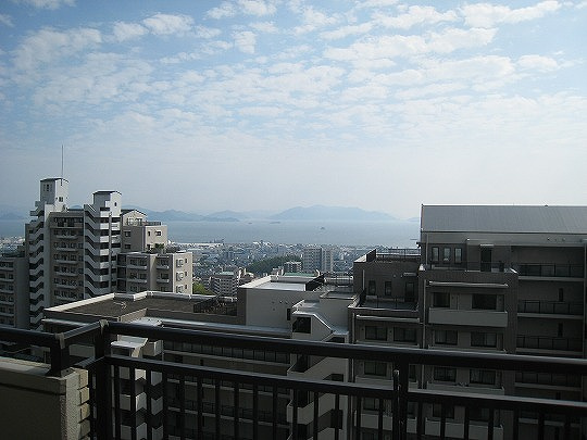 展望