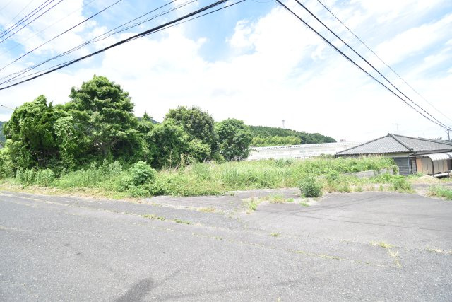 外観：346000032572