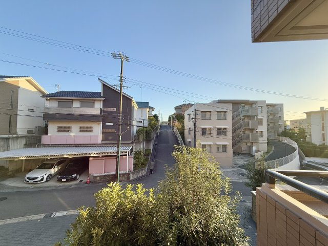 展望