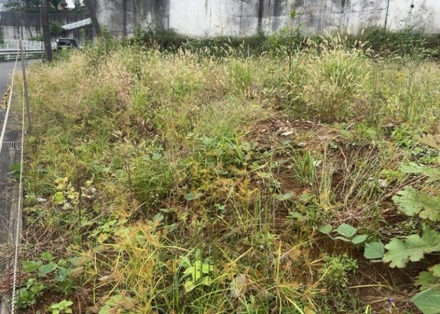 土地探しをしていると都市計画区域という言葉を目にすると思います。法律によって、都道府県知事や国土交通大臣が指定するエリアのことを指しており、都市計画区域は市街化区域と市街化調整区域に分けられています。