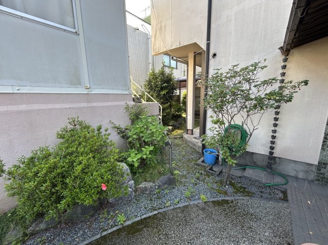 庭