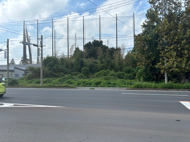 外観：308000154913