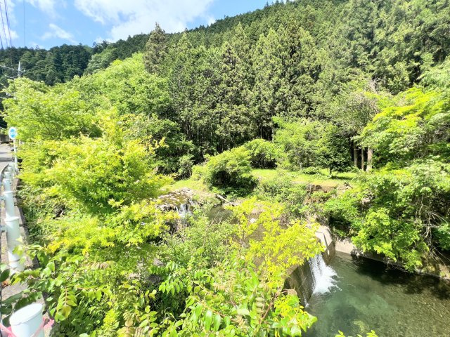 展望