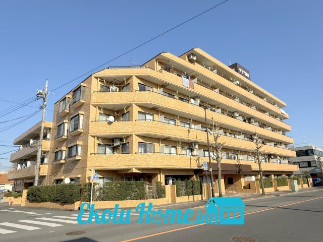 外観：313004618786