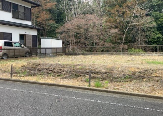 外観：313004671876