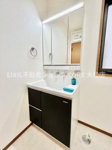 シャワー付きのドレッサーには鏡の裏に収納スペースがあります。充実した洗面化粧台です。