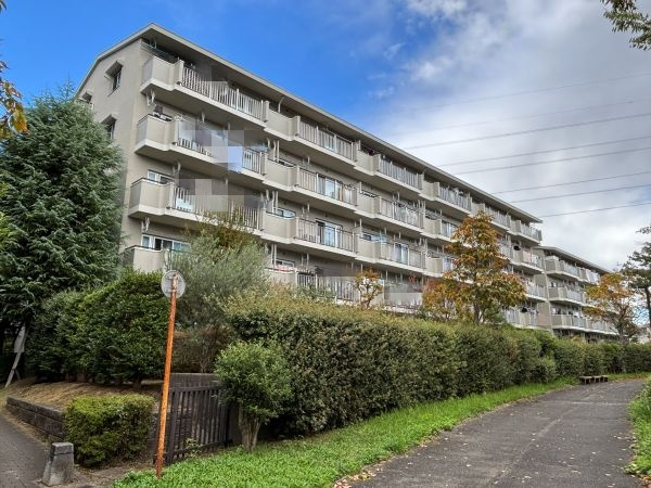 外観：313004629436