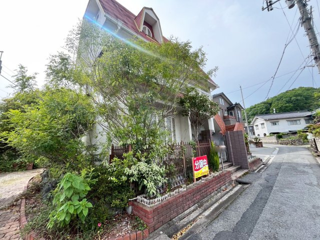 【現地写真】　2026年5月に撮影しました