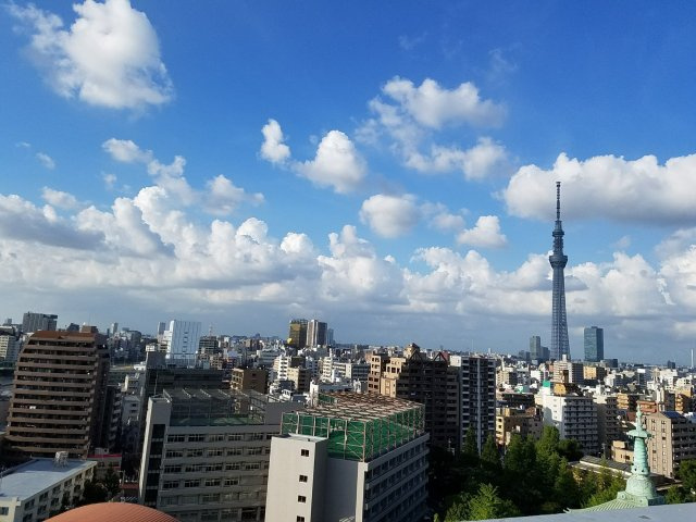 スカイツリーを望む爽快な眺望。青空が広がる開放的なパノラマビューが日常を彩ります。