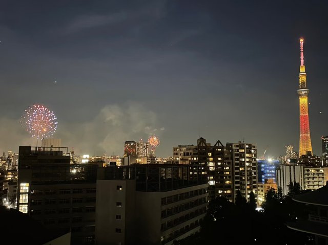 夜にはライトアップされたスカイツリーと花火も。夜景を独占できる素敵な住戸です。