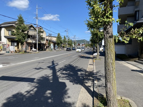 前道