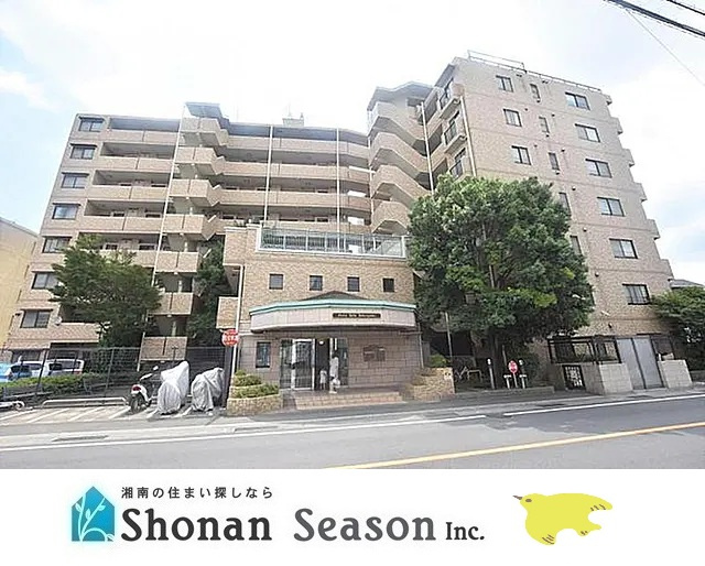 外観：314002694560