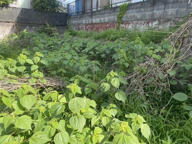 土地の前の道路に消火栓が設置されていることがあります。この場合、道路交通法第45条第1項により、駐車禁止の場所が指定されています。そのため、車庫などの駐車スペースをつくることができない場合があります。