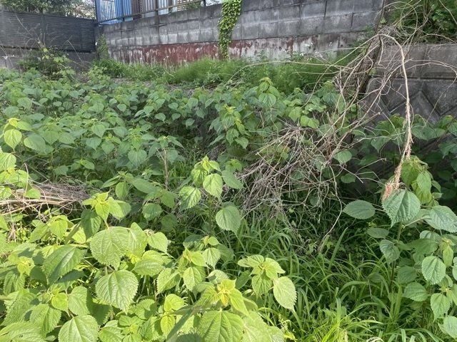 土地探しをしていると都市計画区域という言葉を目にすると思います。法律によって、都道府県知事や国土交通大臣が指定するエリアのことを指しており、都市計画区域は市街化区域と市街化調整区域に分けられています。