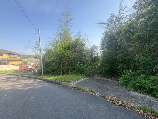 外観：326000223034