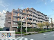 外観：313004538142