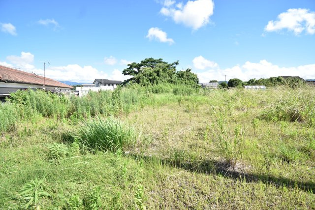 外観：346000038136