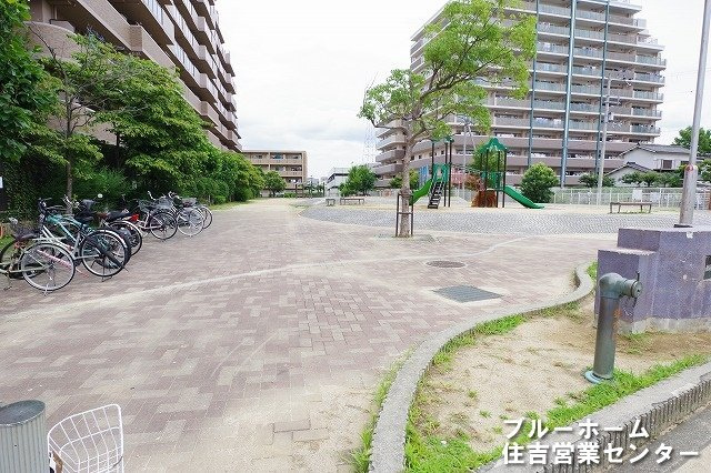 敷地内にある広場です！
