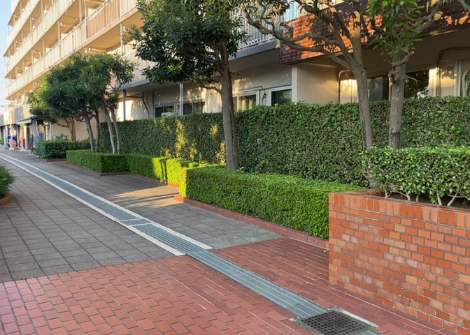 共用部分の中庭空間は陽当たりが良く、住む方にゆとりを感じさせる落ち着いた空間です。マンション全体の管理が行き届いている様子が伺え、居住者同士のちょっとした交流や息抜きにも適しています。