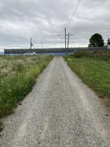 西側既存道路