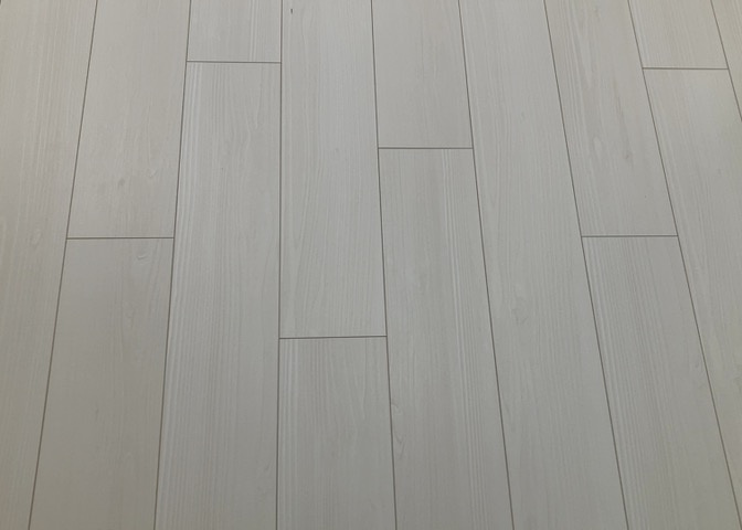 トイレは大きさや形、機能、抗菌性などが異なる多種多彩なタイプが各メーカーから出ています。それぞれに良さがあるため、事前にどういったタイプのトイレがいいのかをご家庭内で決めて、内見に行くといいでしょう。