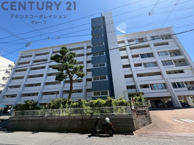 外観：328000661471