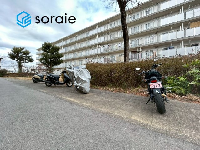 1月20日撮影