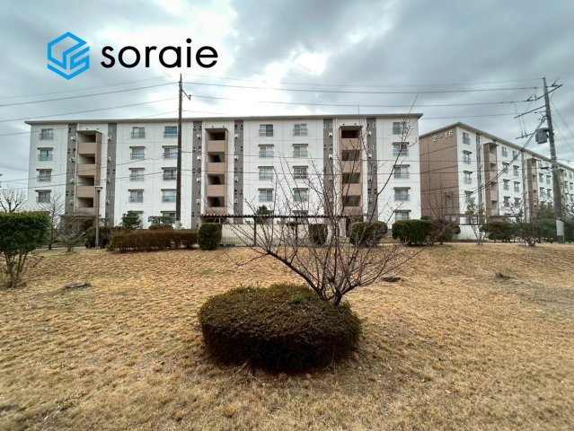 1月20日撮影