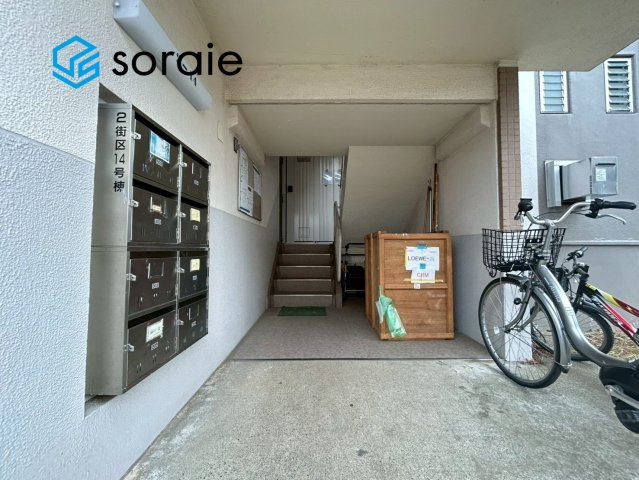1月20日撮影