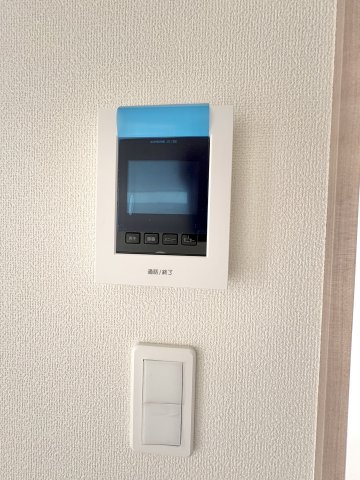 2026年6月撮影