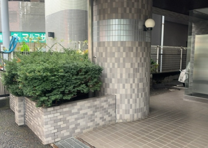 中庭（パティオ）とは、一つの建築物の内部に設けられた、壁などで囲われている庭のことを指します。コの字型、ロの字型が主流ですが、L字型の中庭もあります。最近では、インテリア性の高さからも人気があります。