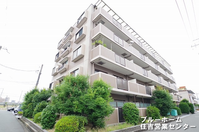 外観：327002170189