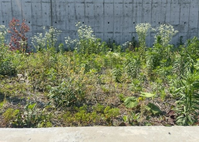 土地を買う際、住む地域の自治体や福祉の補助制度にも注目してみましょう。子供や老人の医療補助やゴミ出しのルールなど、自治体によってルールに大きな違いがあるため、暮らしやすい土地で判断するとよいでしょう。