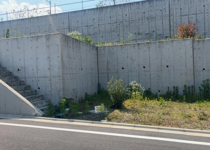外観：313004773121