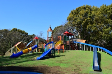総合公園