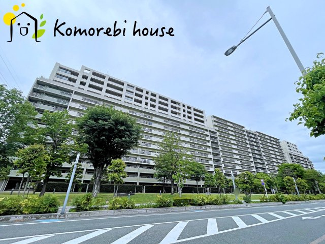 26.5.28　撮影済み
