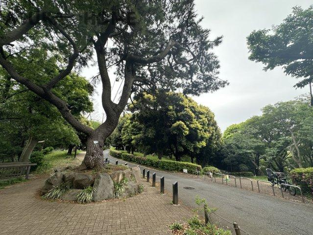 神之木公園が近くにあります。週末には運動したり散歩したり楽しみが増えますね。