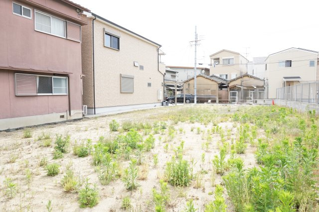 展望
