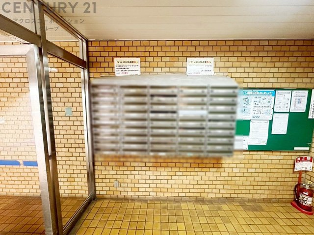 現地のご紹介です